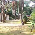 Sosenka