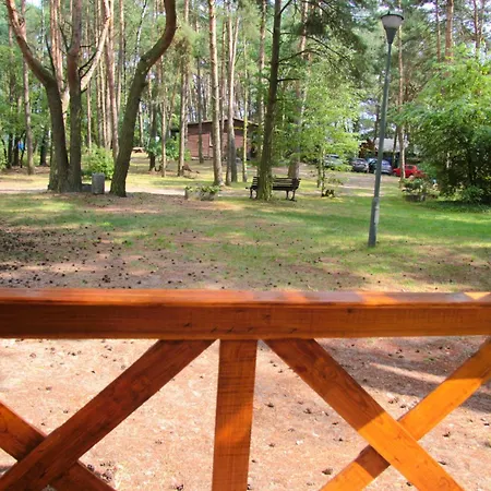 Lodge Sosenka Zaniemyśl