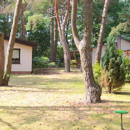 Orman Evi Sosenka