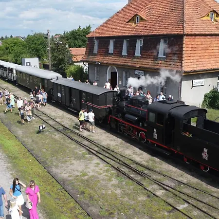 Sosenka * Zaniemyśl