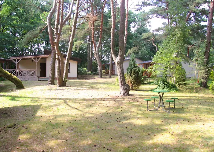 Sosenka 롯지 Zaniemyśl